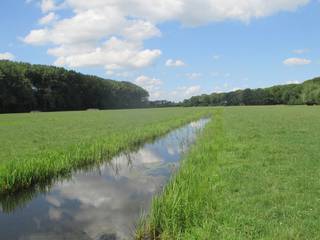 Monitoring flora en fauna provincie Utrecht 2019-2022