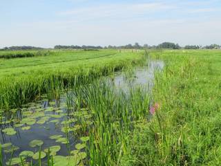 Educatieprojecten Natuurinclusieve landbouw