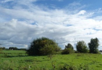 Ecologische begeleiding Uiterwaarden Olst (Ruimte voor de Rivier)