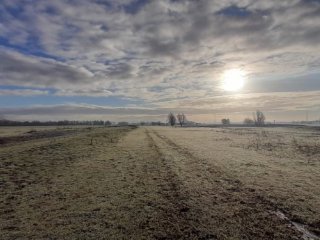 Biodiversiteitsplan Zaltbommel