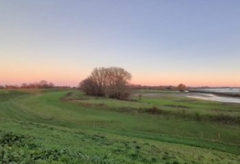 Biodiversiteitsplan en natuurwaardenkaart Zaltbommel