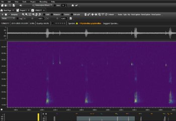Cursus BatExplorer® Cursus BatExplorer®