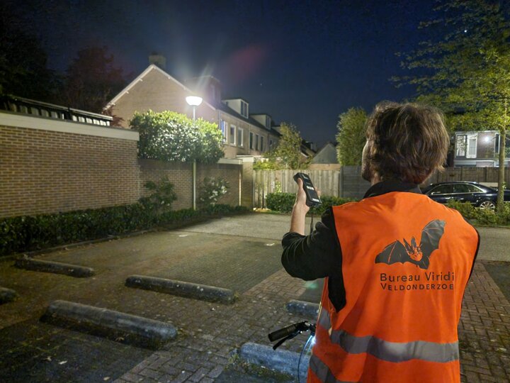 Onderzoeksmethoden vleermuizen Onderzoeksmethoden vleermuizen