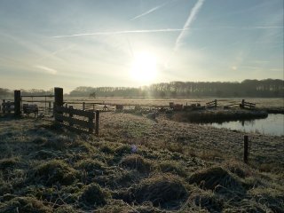 Een winter bij Viridis