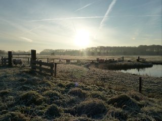 Een winter bij Viridis